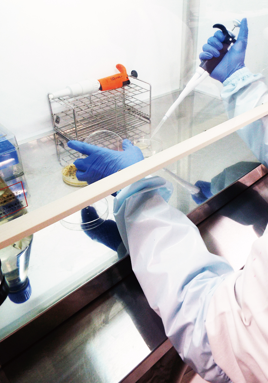 培地・シャーレ・インキュベータなど検査風景